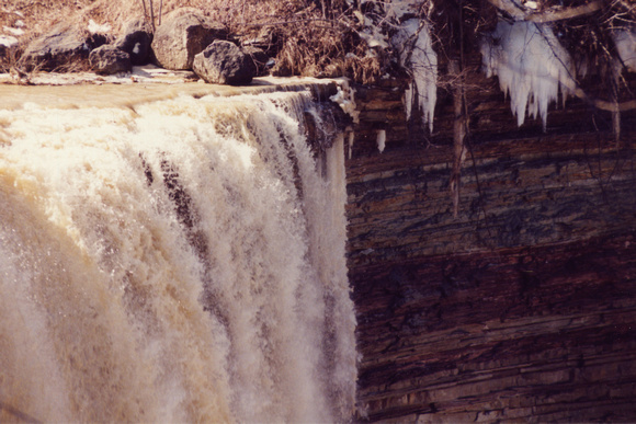 SS05203-0001.jpg