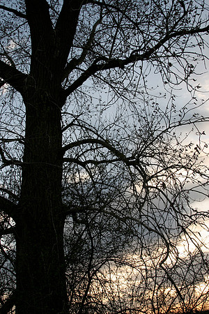 SS081-0131.jpg