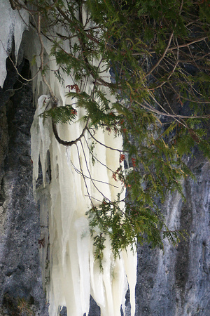 SS05202-0036.jpg