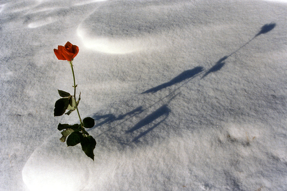SS08-0016.jpg