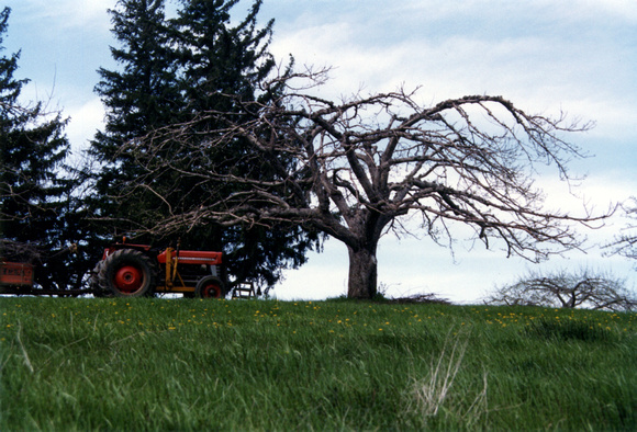 SS05-0005.jpg