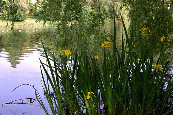 SS08-0048.jpg