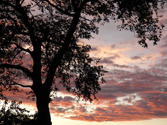 Sunset33