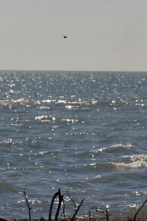 SS062-0087.jpg