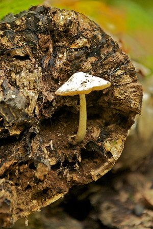 FallHike 33