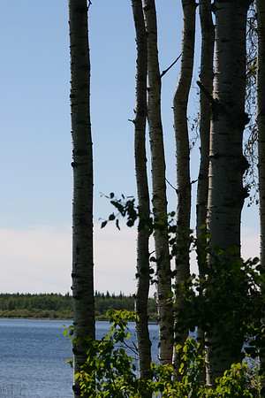 SS081-0047.jpg