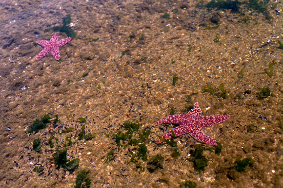 SS074-0049.jpg