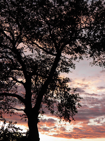 Sunset34