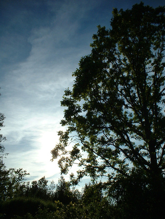 SS081-0017.jpg