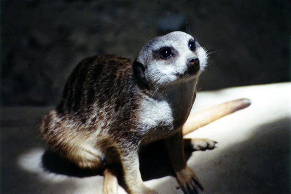 SS07-0019.jpg