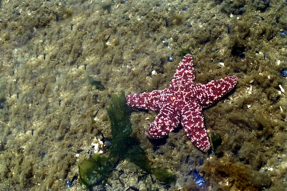 SS074-0055.jpg