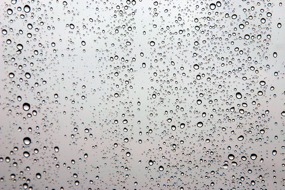 SS09-0067.jpg