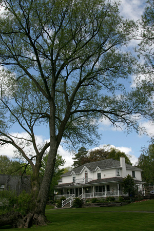 SS05-0033.jpg