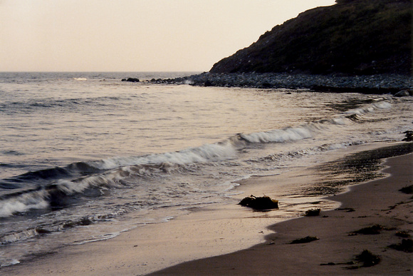 SS052-0018.jpg