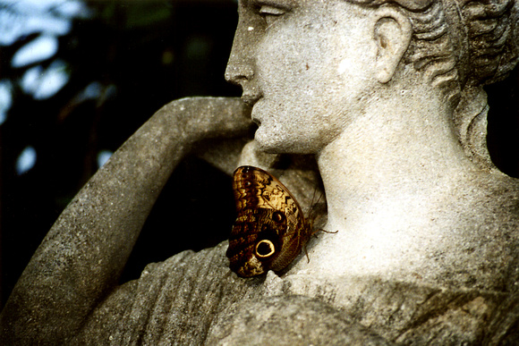 SS112-0004.jpg