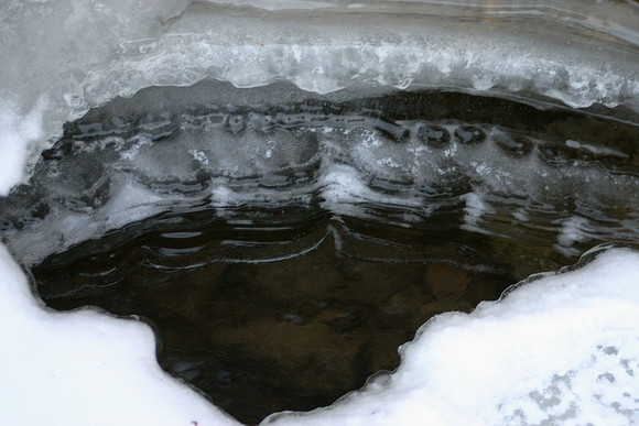 SS05202-0015.jpg