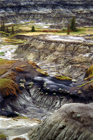 SS051-0017.jpg