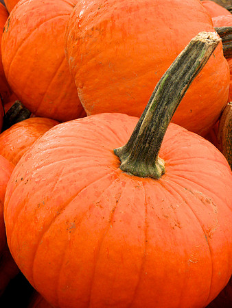 Fall-Autumn 22
