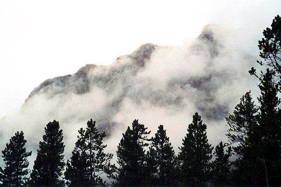 SS051-0006.jpg