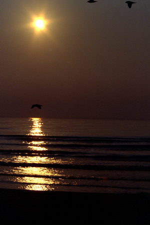 SS052-0017.jpg