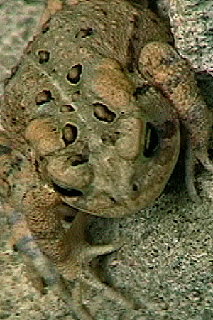 SS072-0018.jpg