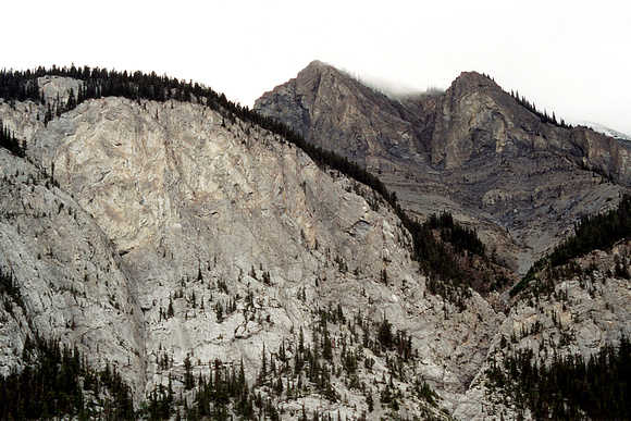 SS051-0015.jpg