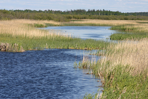 SS052-0033.jpg