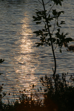 SS052-0051.jpg