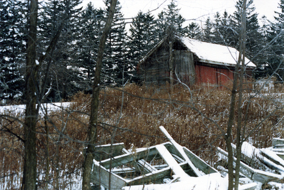 SS05-0003.jpg