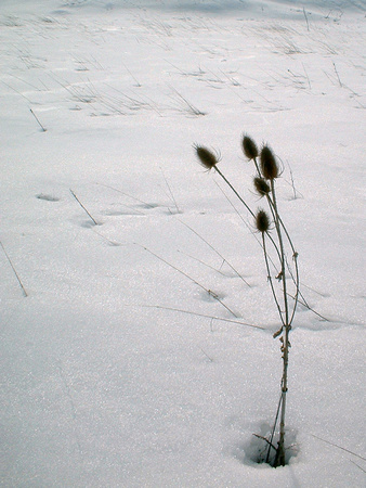 SS05-0009.jpg