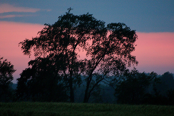 SS081-0050.jpg