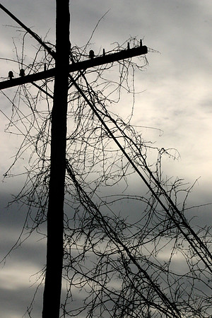 SS09-0024.jpg