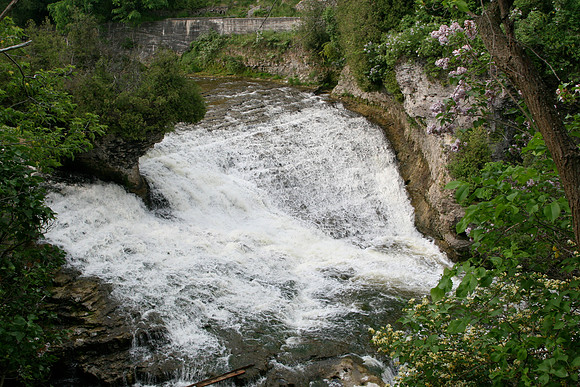 SS05202-0042.jpg